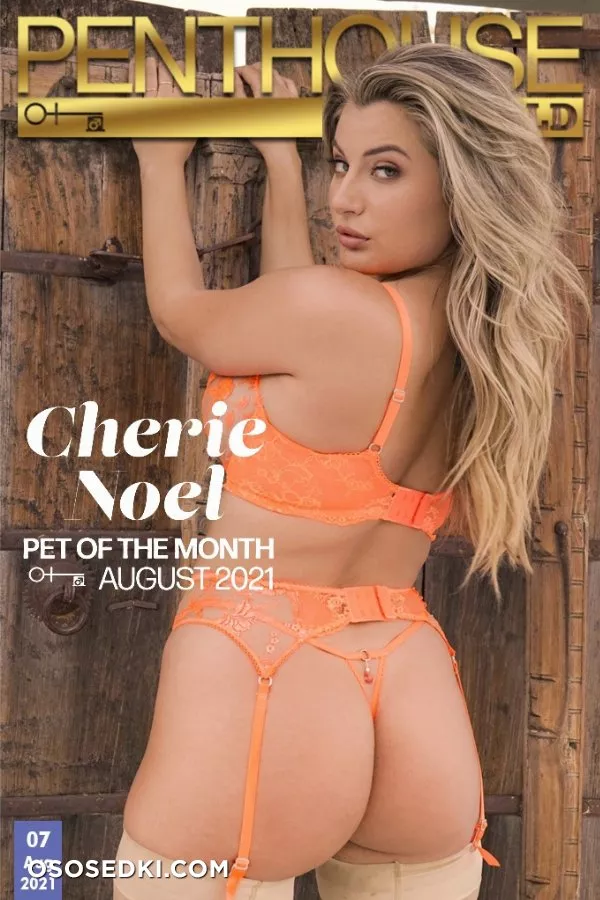 Cherie Noel - Pet of the Month August 2021  - Penthouse Gold nude. Onlyfans, Patreon, Fansly leaked 67 nude photos and videos