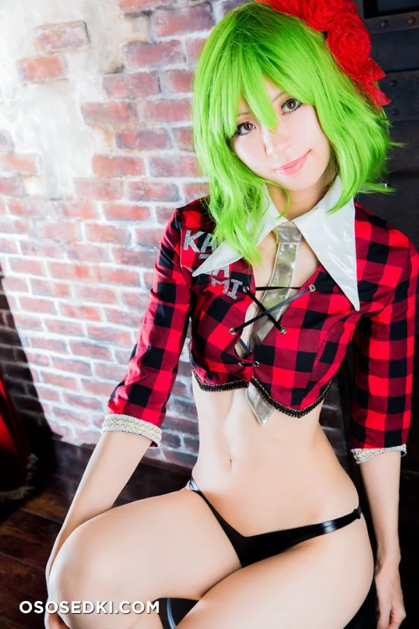 Mikehouse | Touhou Project | Yuuka Kazami nude. Onlyfans, Patreon, Fansly leaked 21 nude photos and videos