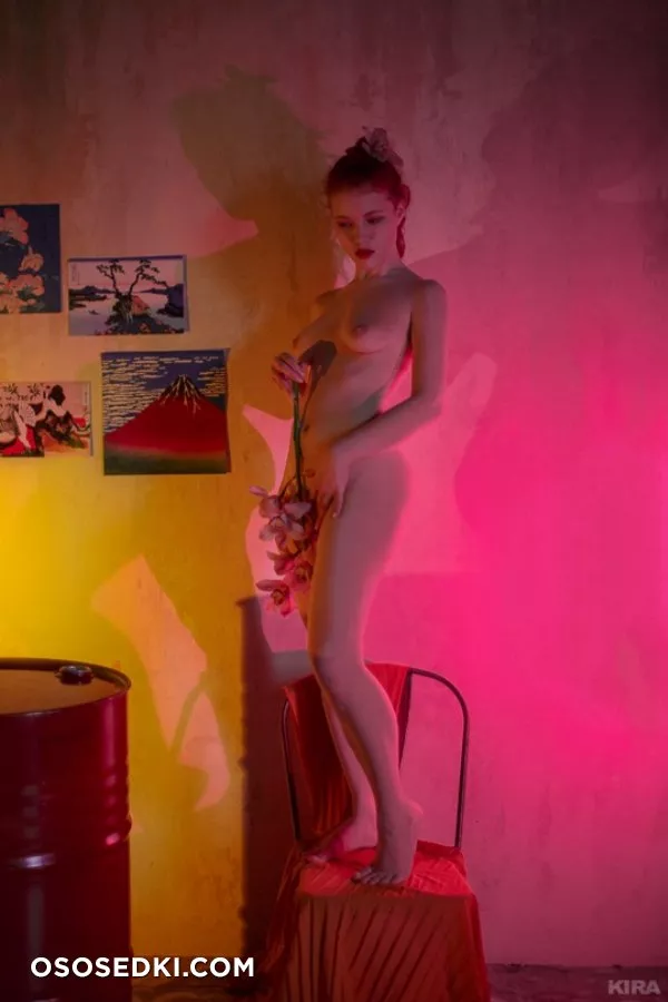 Wild Orchid nude. Onlyfans, Patreon, Fansly leaked 18 nude photos and videos